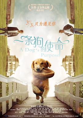 免费国产综合视频在线看